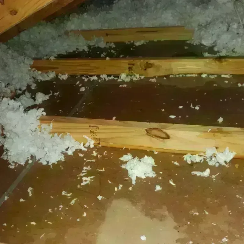 Attic Water Damage in Hartshorne, OK